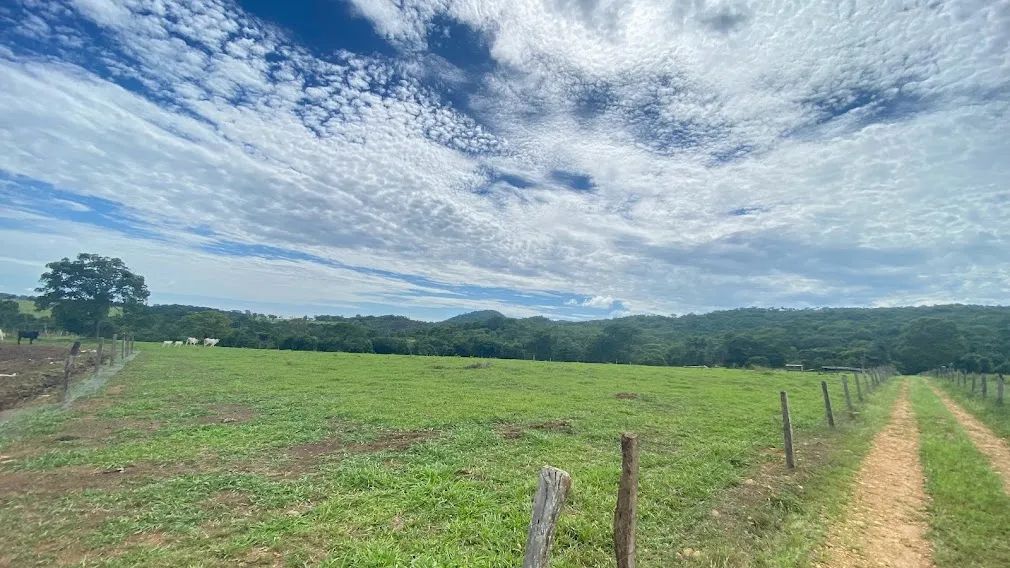 Fazenda em Itaberaí, 7 alqueires, curral, água, excelente logística, próximo a barreira da - Foto 4