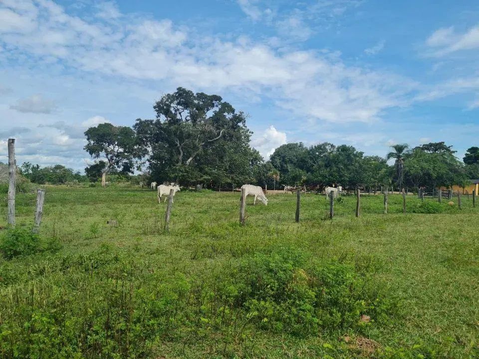Fazenda para Venda em Araguaçu, Zona Rural - Foto 2