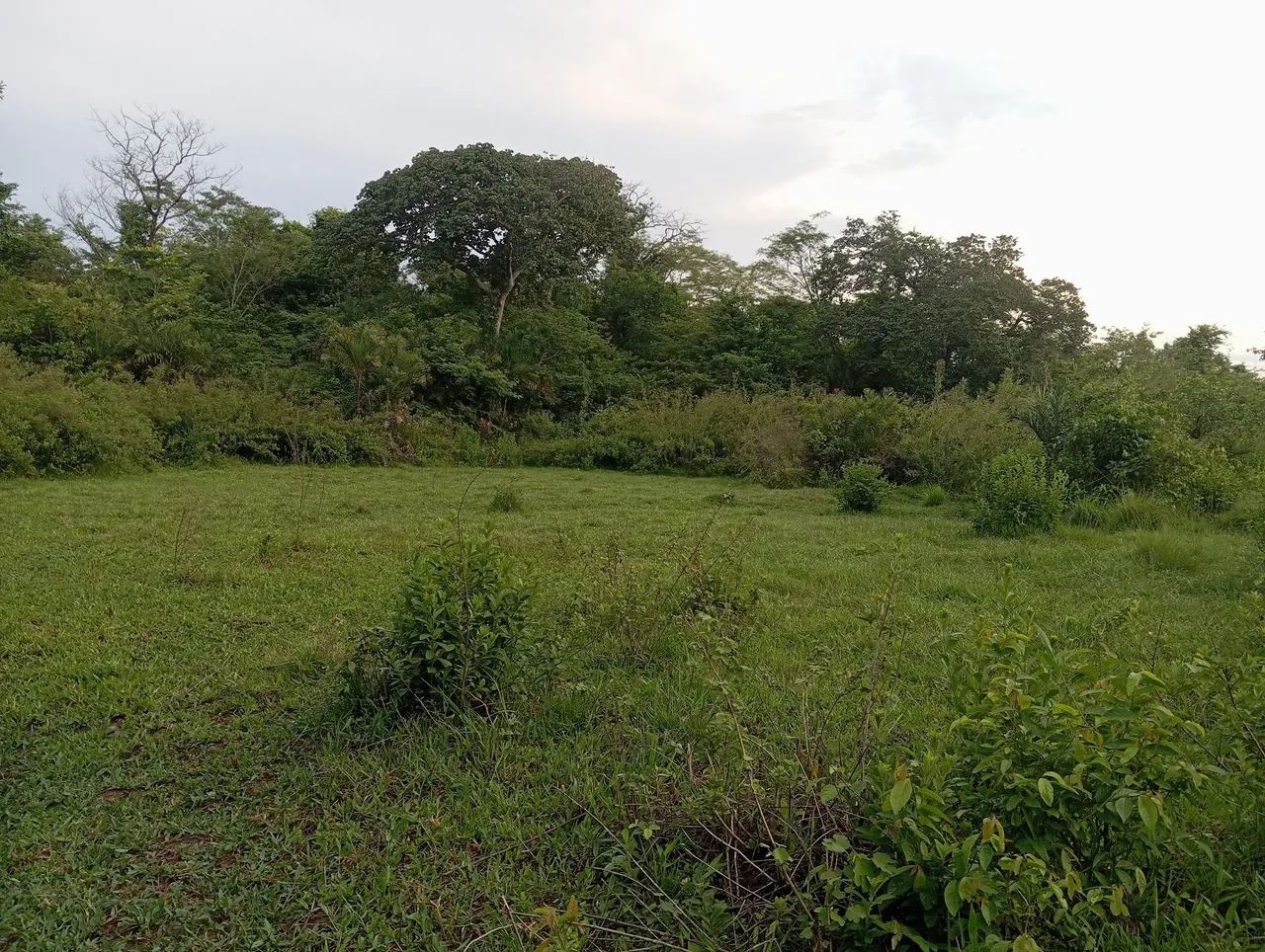Chacara Rio Vermelho  - Foto 3