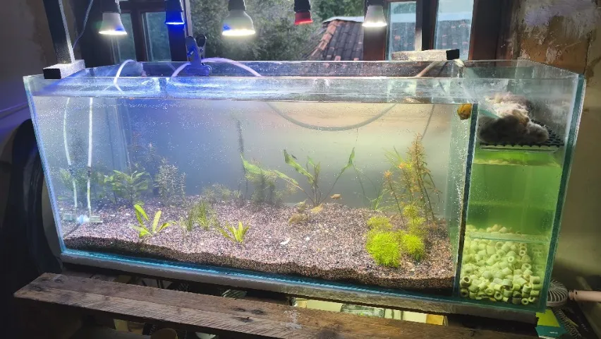 Aquário 128 (80x40x40cm) litros com sump lateral