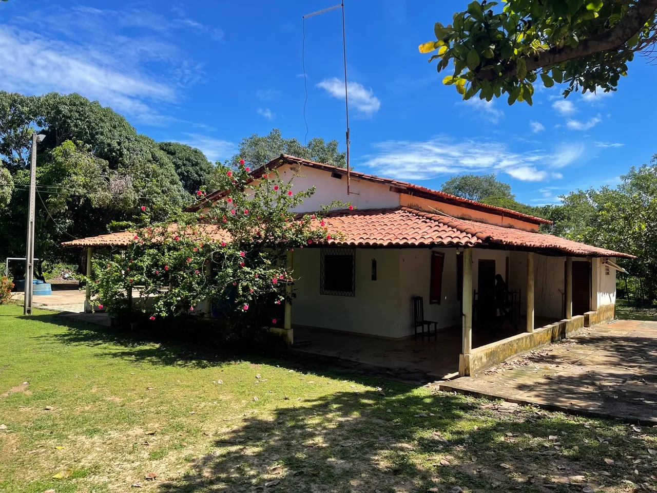 Vendo sítio na estrada de José de Freiras