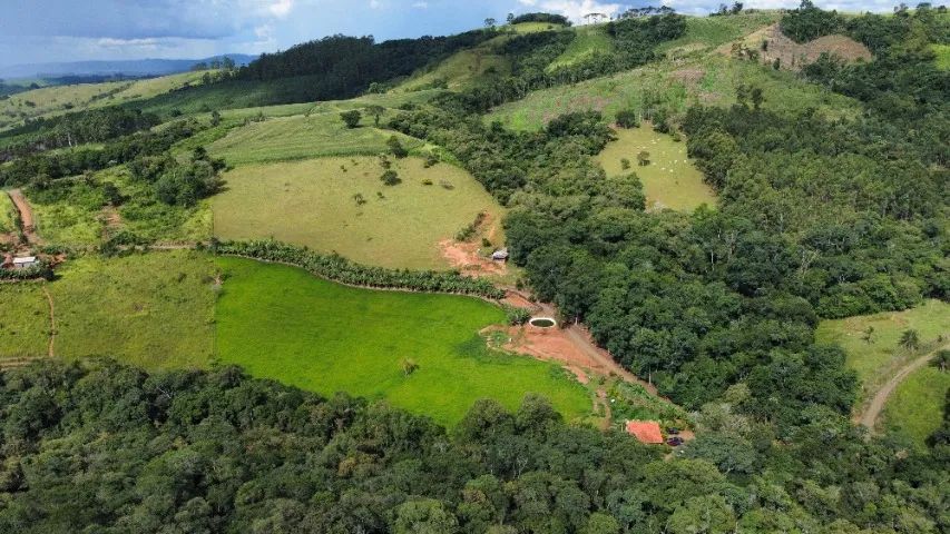 Sítio 102.850mts Rico em Água (Entre Ventania x Curiúva) - Foto 4