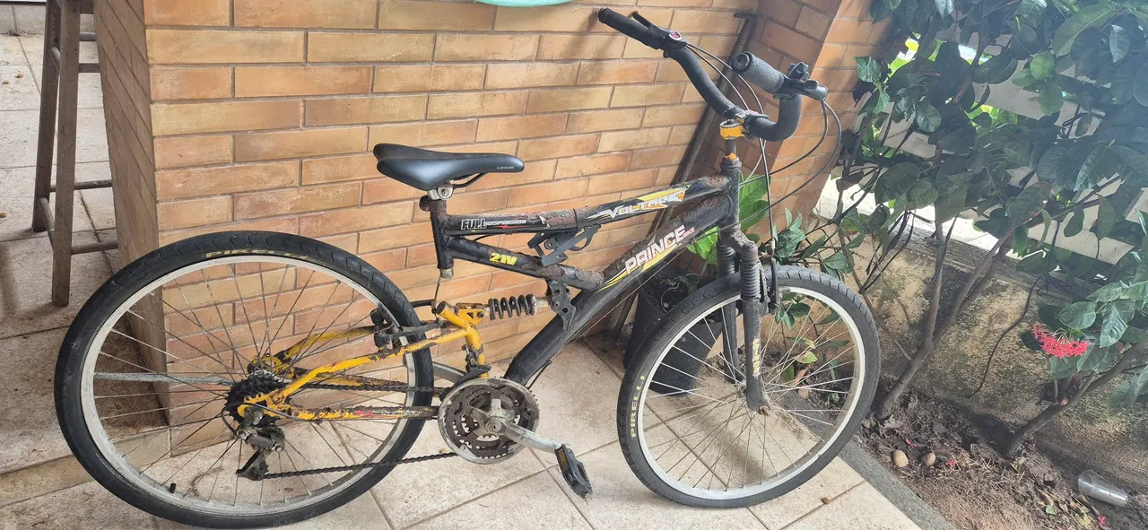 Bicicleta Prince Voltec 24