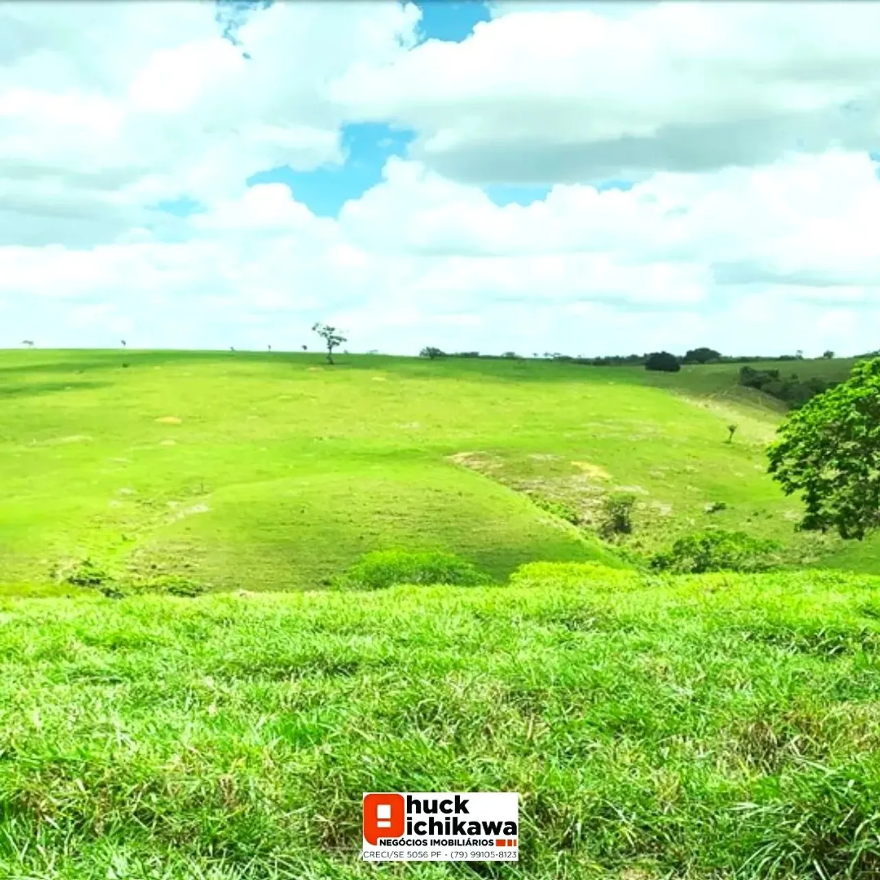 Fazenda com 164 tarefas . Nossa Senhora das Dores