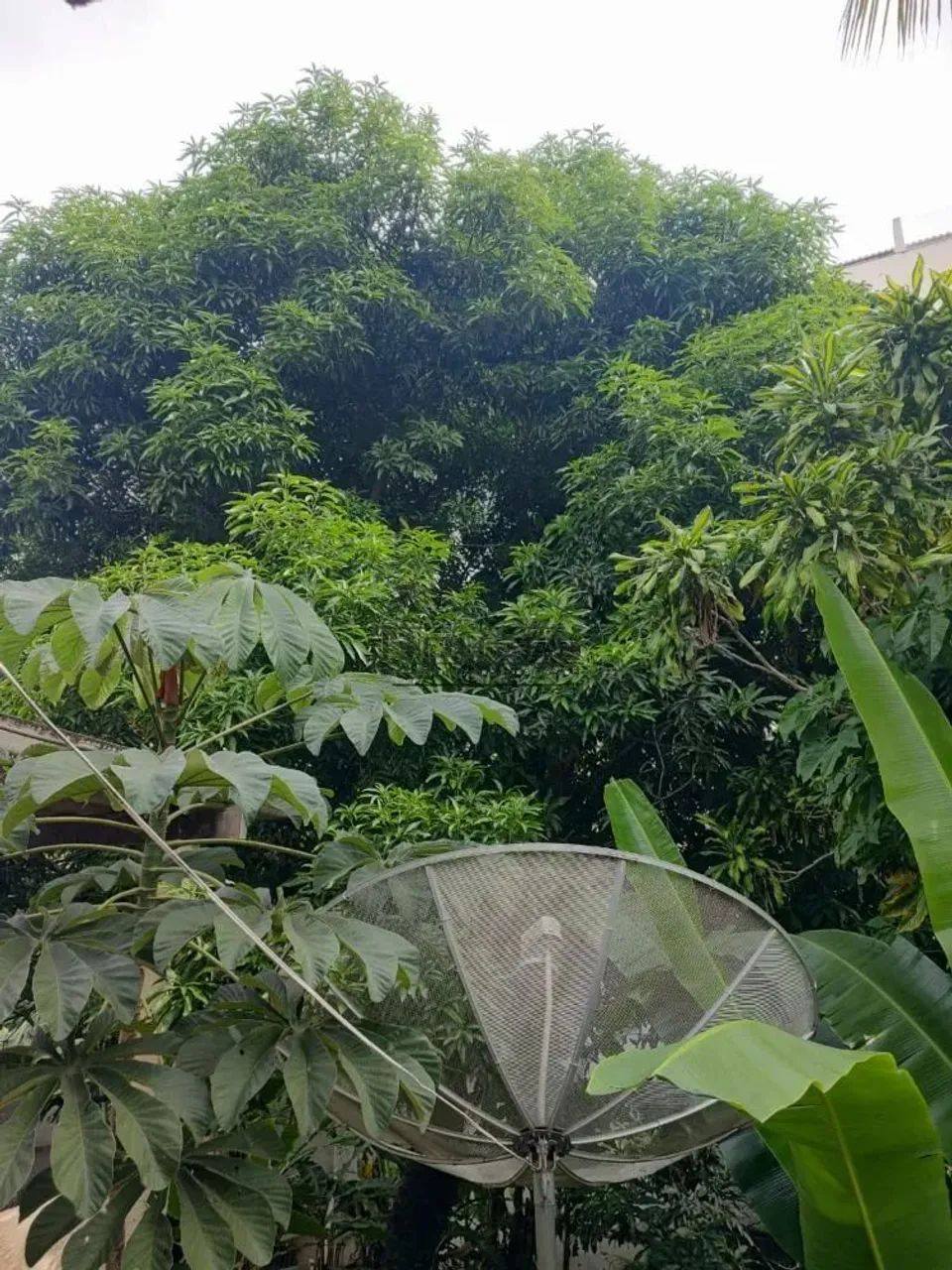 Terreno a venda em Rio de Janeiro - Foto 8