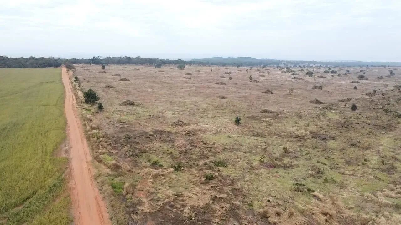Fazenda arrendamento 2.250 hect em Sonora MS.  - Foto 3
