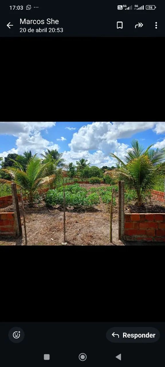 Terreno  - Foto 2