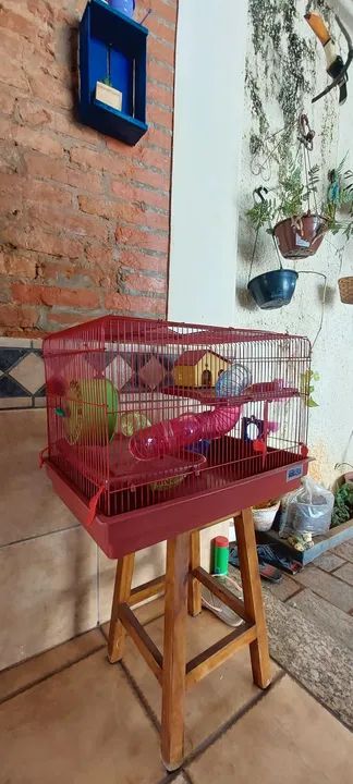 Gaiola para Roedores - 2 Andares - Foto 3