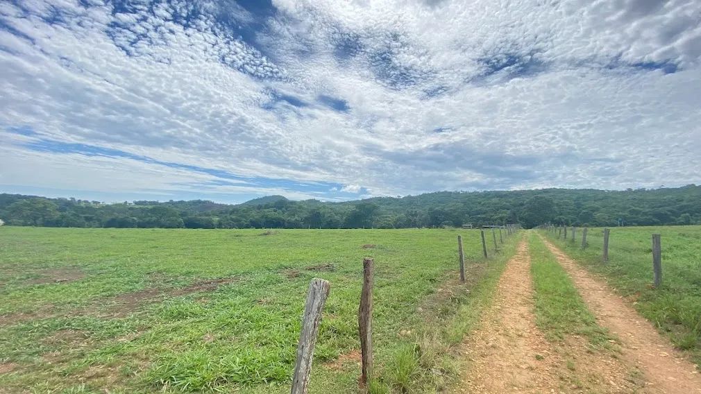 Fazenda em Itaberaí, 7 alqueires, curral, água, excelente logística, próximo a barreira da
