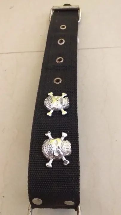 belíssima e exclusiva  coleira completa   reforçada para cães de grande porte. 