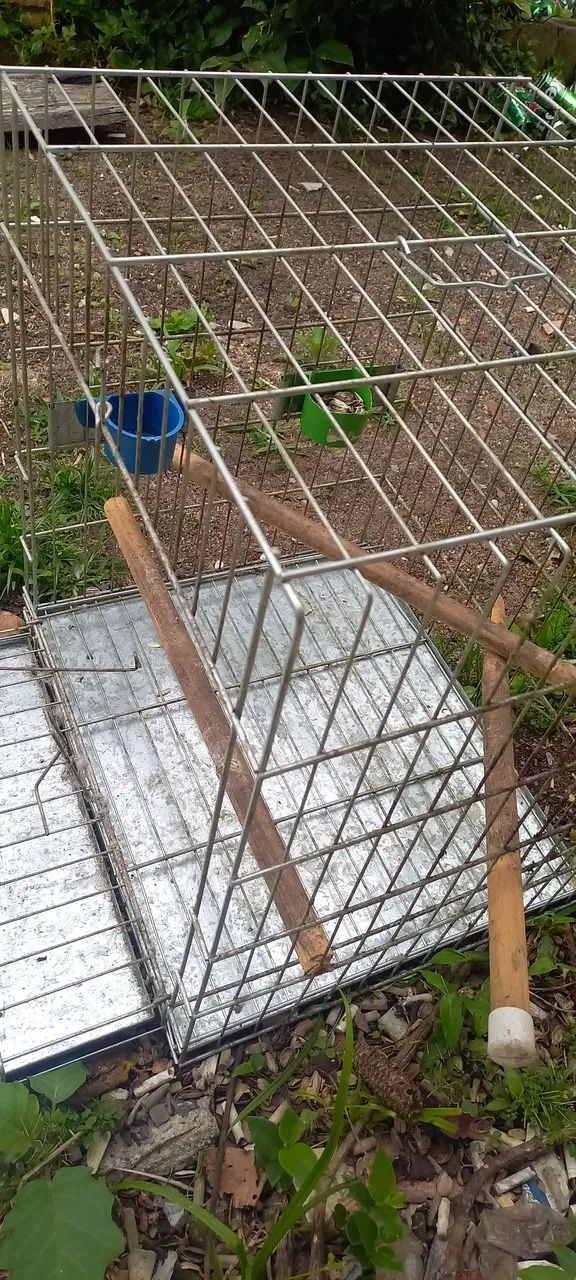 Gaiola grande  - Foto 2