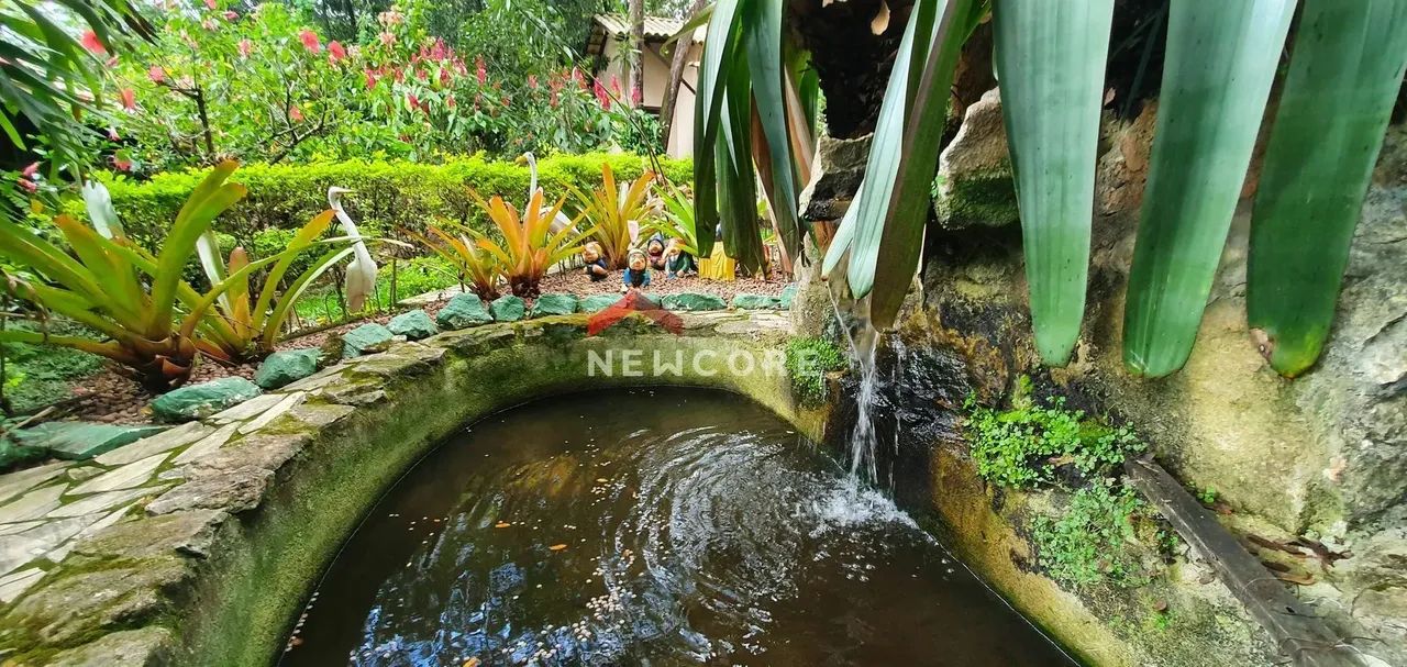 Sítio em AVENIDA DO CARECA - Cidade Jardim - Esmeraldas/MG - Foto 4