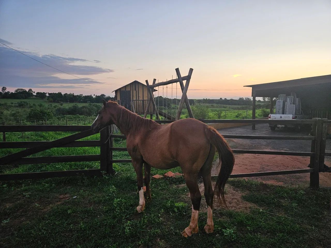 Cavalo manga larga  - Foto 6