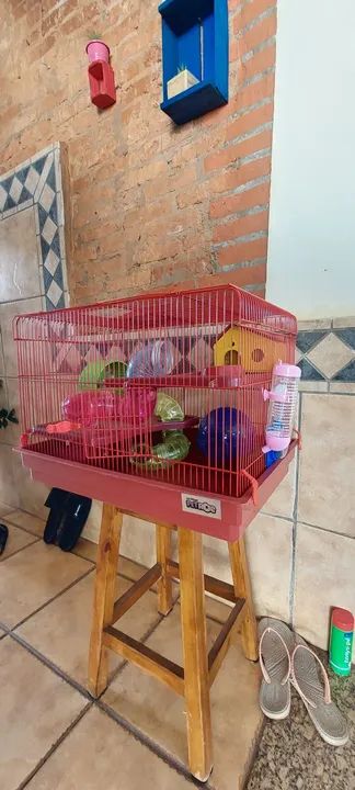 Gaiola para Roedores - 2 Andares - Foto 2
