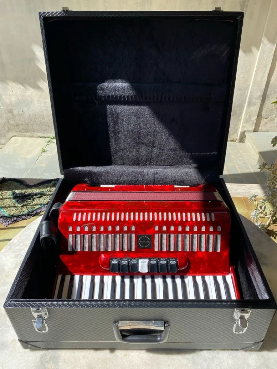 Sanfona/Acordeon Prowinds 120 Baixos - Foto 3