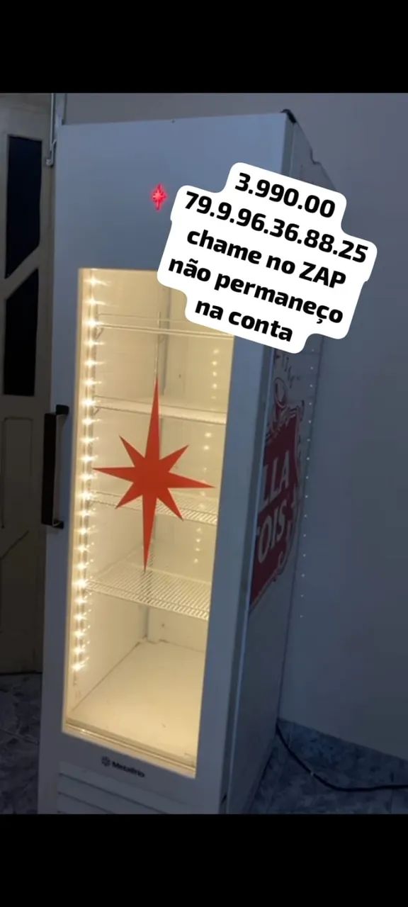 cervejeira expositora