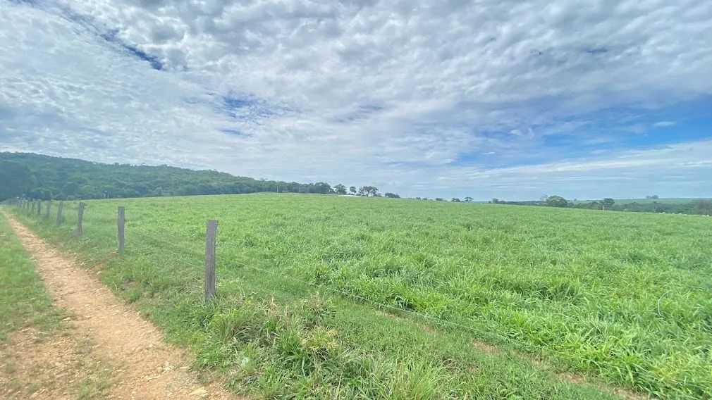 Fazenda em Itaberaí, 7 alqueires, curral, água, excelente logística, próximo a barreira da - Foto 3