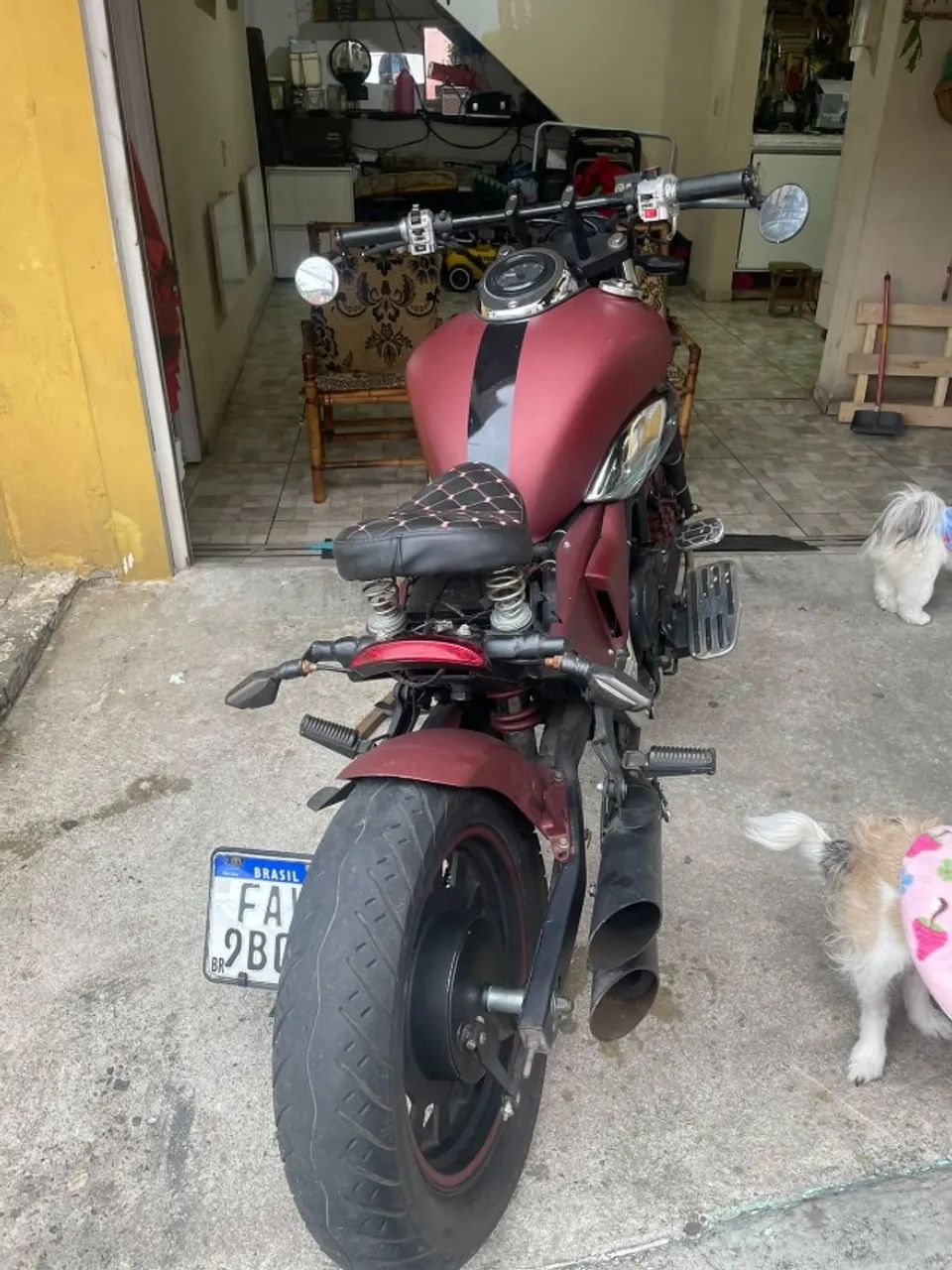 Amazonas bobber  - Foto 3