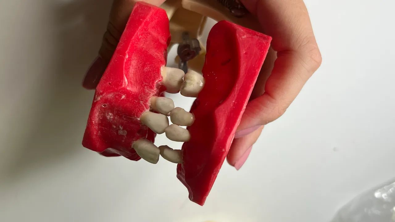 Manequim endodontia  - Foto 2