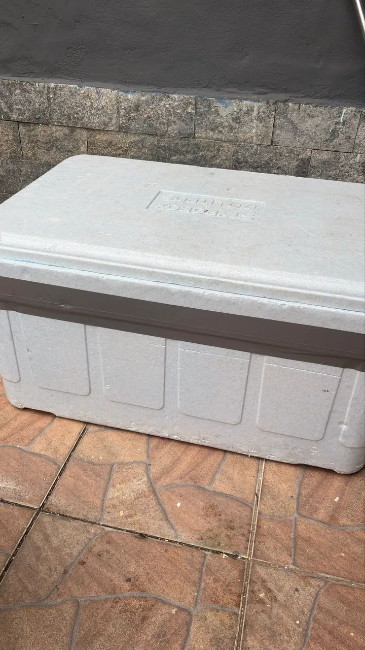 Caixa de isopor 170L