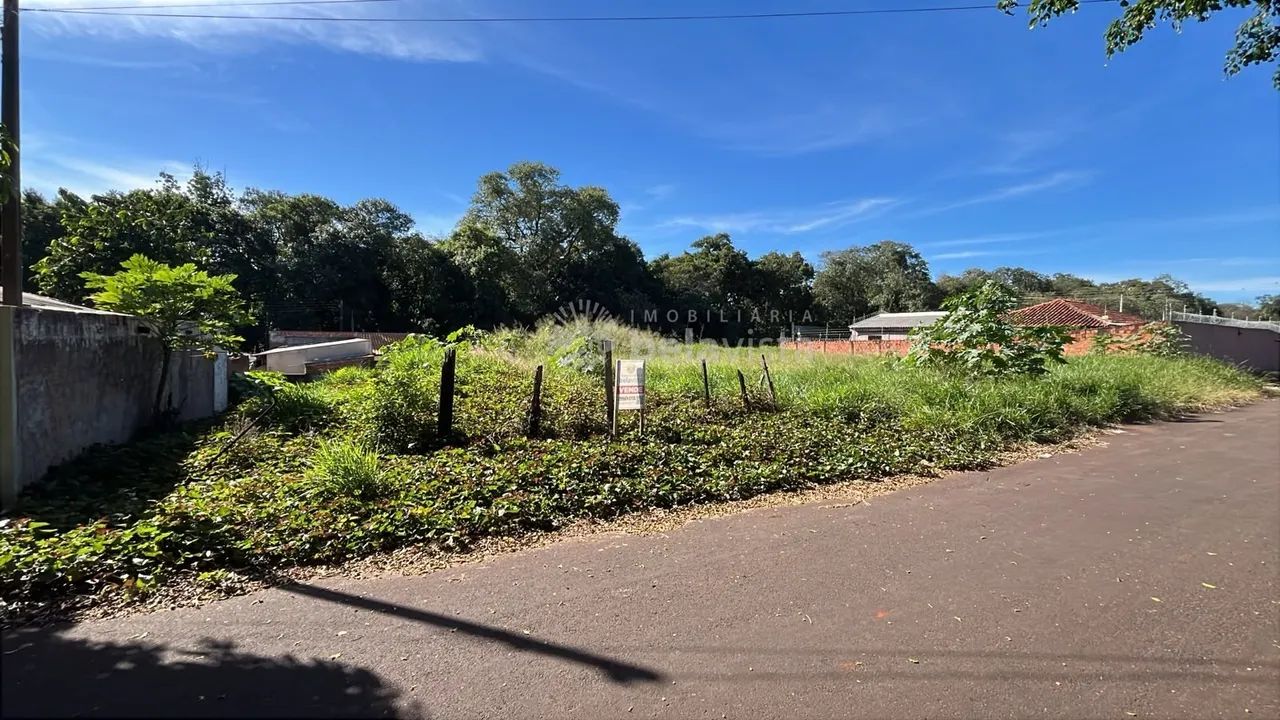 TERRENO À VENDA NO RESIDENCIAL PARQUE DA RAPOSA EM APUCARANA. - Foto 3