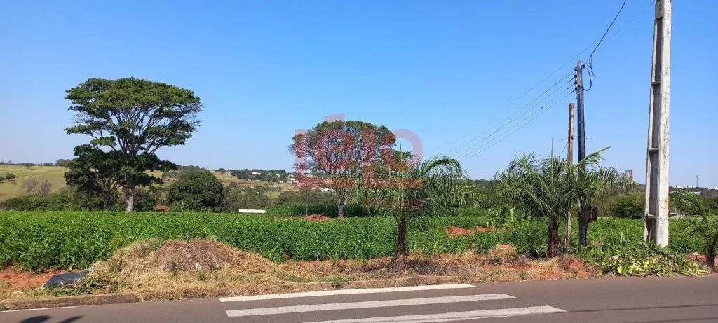 Terreno à venda Nova esperança Pr