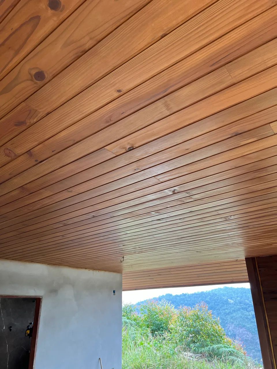 Forro Pinus Tratado - Foto 3