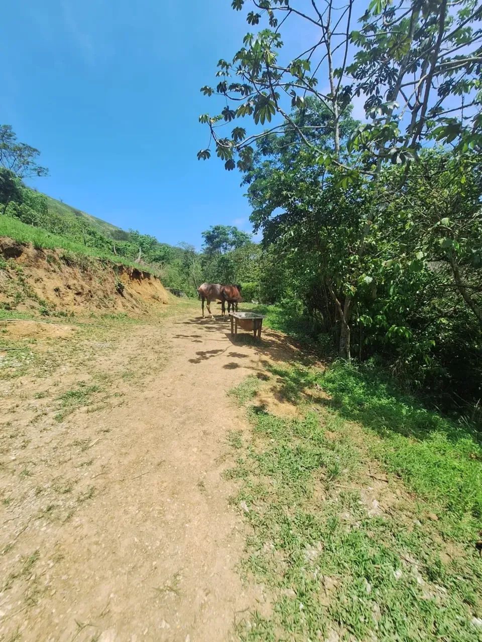 ÁREA COM 7.600 M² - Foto 4