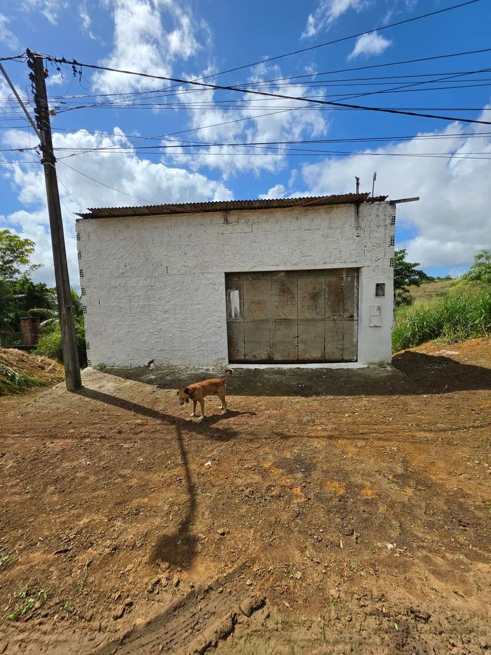 Galpão com casa embaixo  - Foto 5