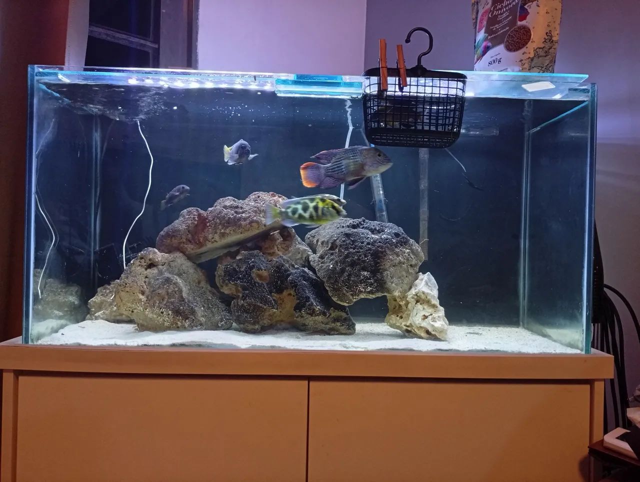 Aquário de 140lt com móvel completo  - Foto 3