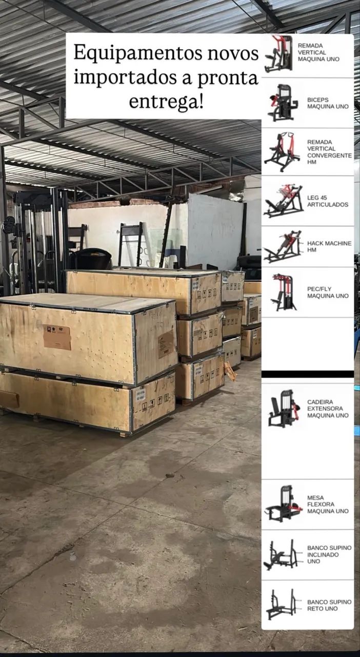 Muscle Training Academy407687446271764485