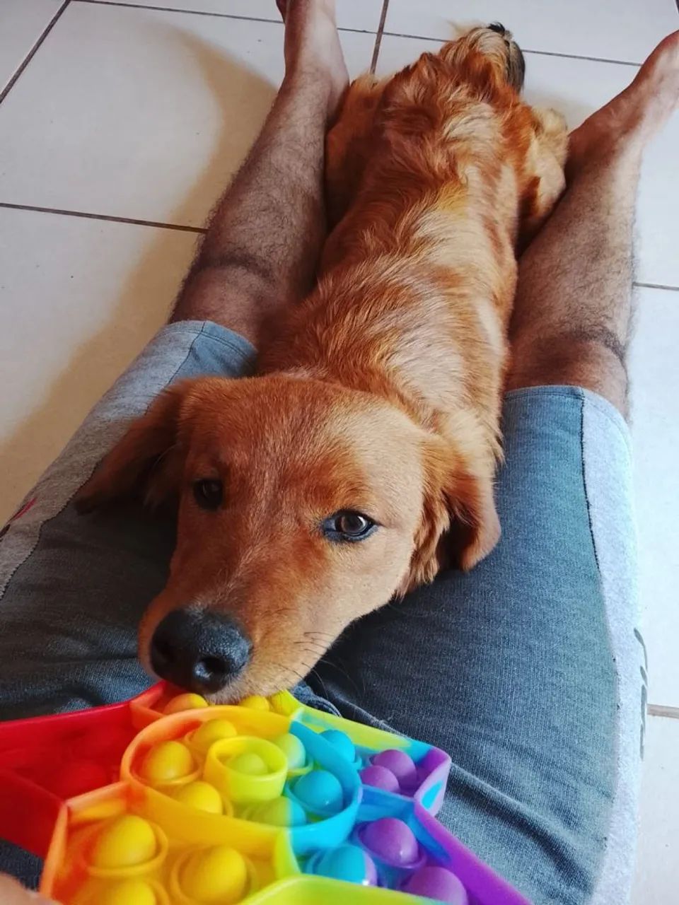 doação - Foto 4