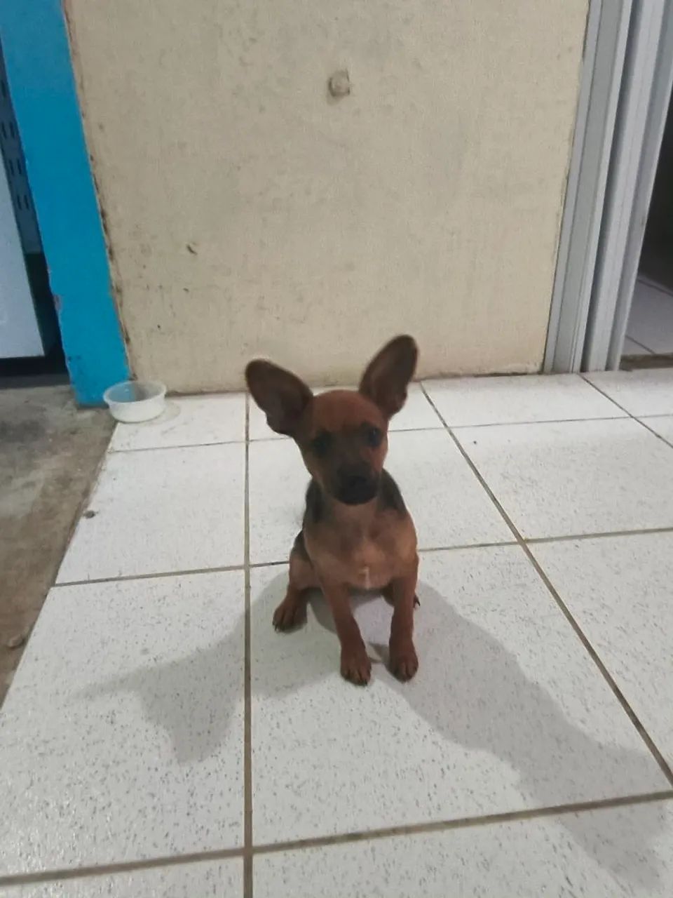 Doação - Foto 4