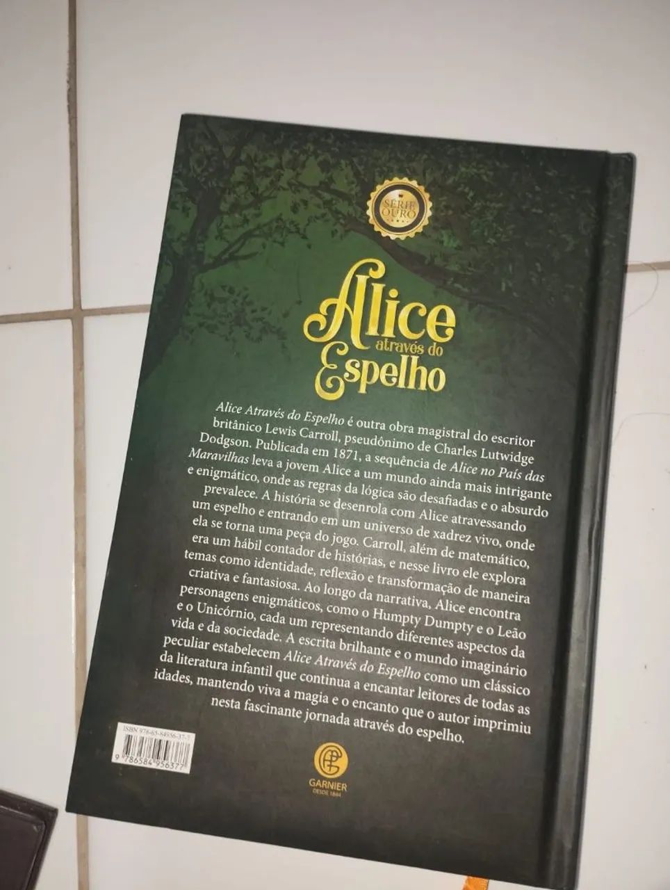 Livro  - Foto 5
