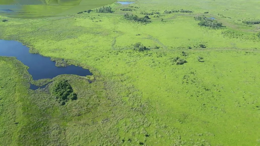 Fazenda para Venda em Poconé - Foto 5