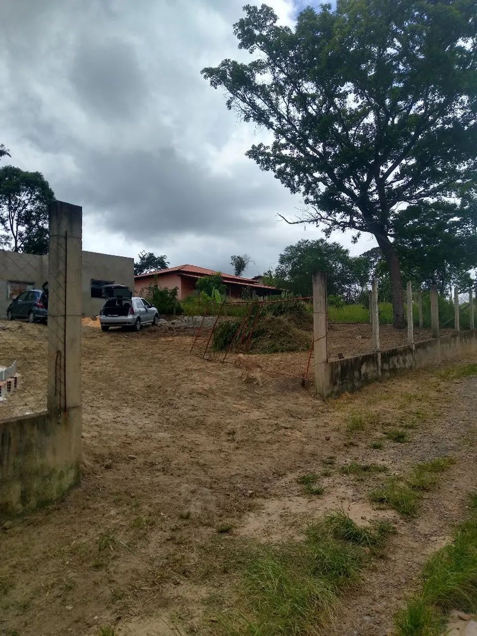Chácara em Bom Jesus do Amparo  - Foto 3