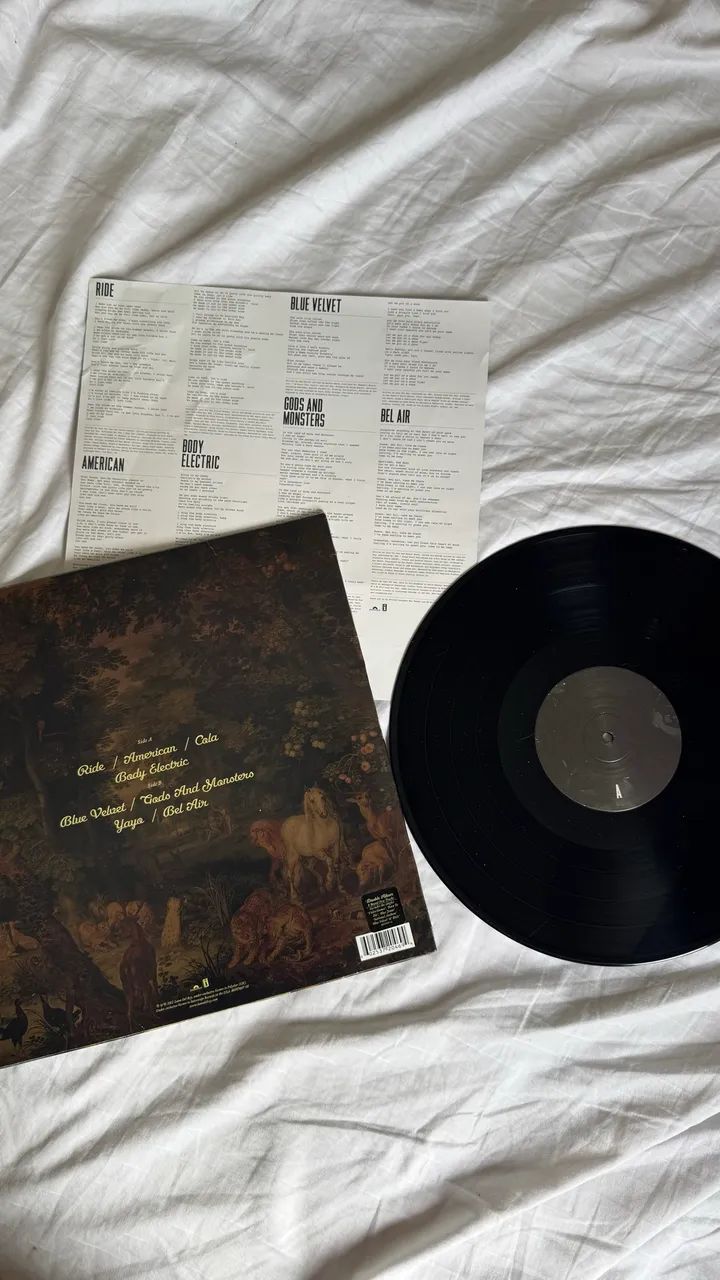 Lp Lana Del Rey - paradise disco de vinil - Foto 2