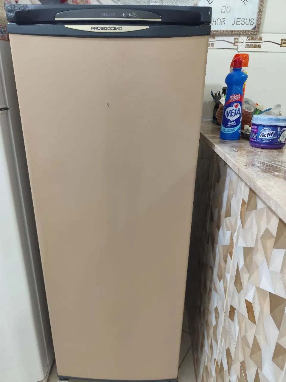  Vendo Freezer Prosdócimo F21 funcionando normalmente 