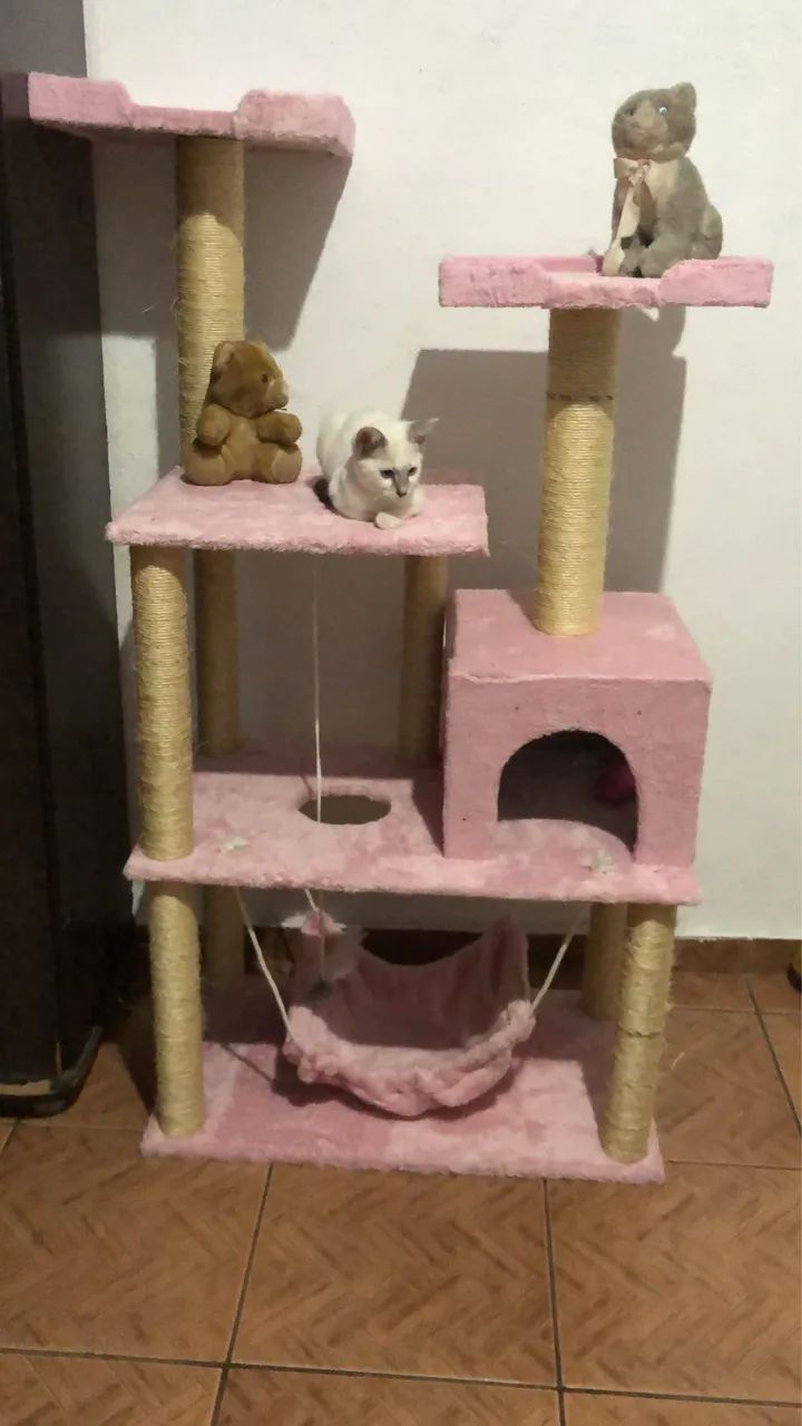 Arranhador de gato  - Foto 5