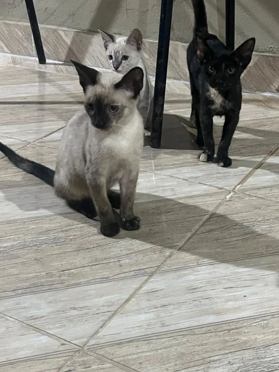 Doaçã o - Foto 2