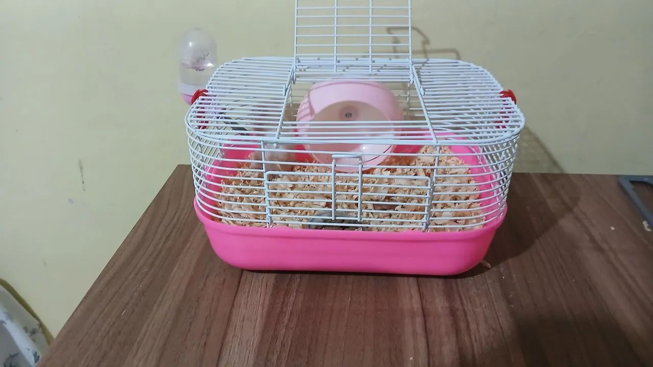 Gaiola para hamster
