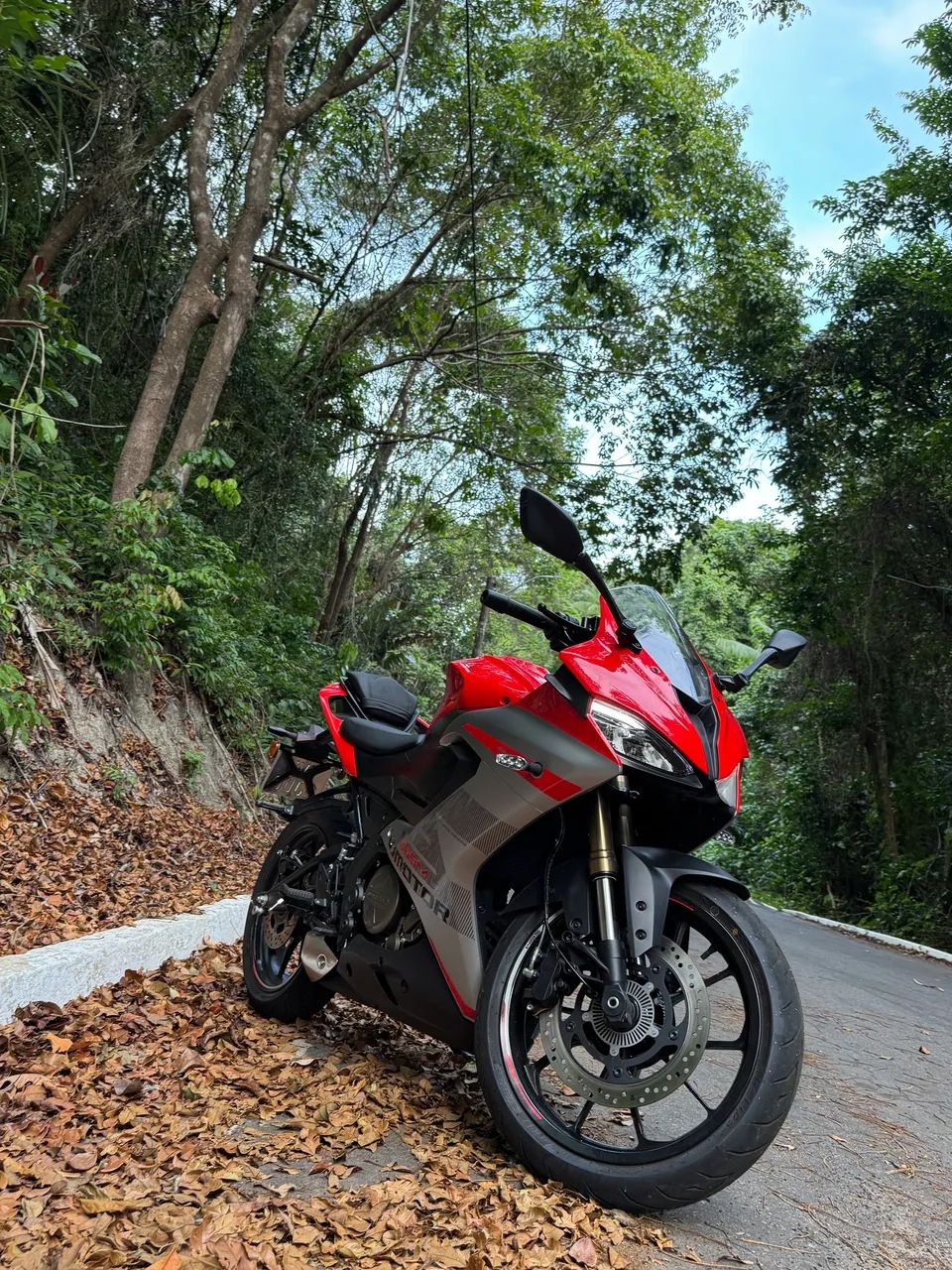 SBM 250S