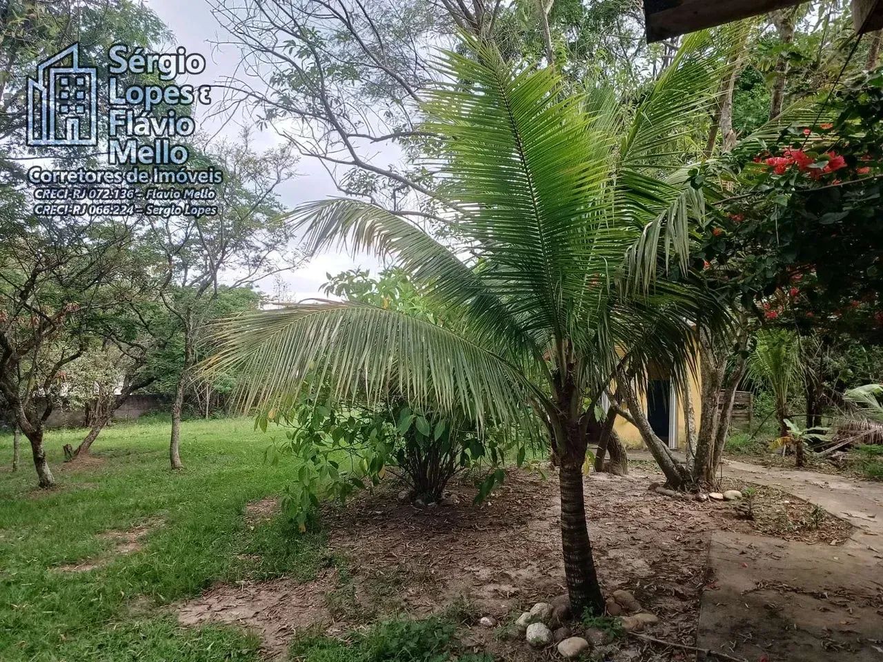 ITABORAÍ - Sitio em Vila Rica 10,000m² com casa 2 quartos  Cod(183IV) - Foto 5