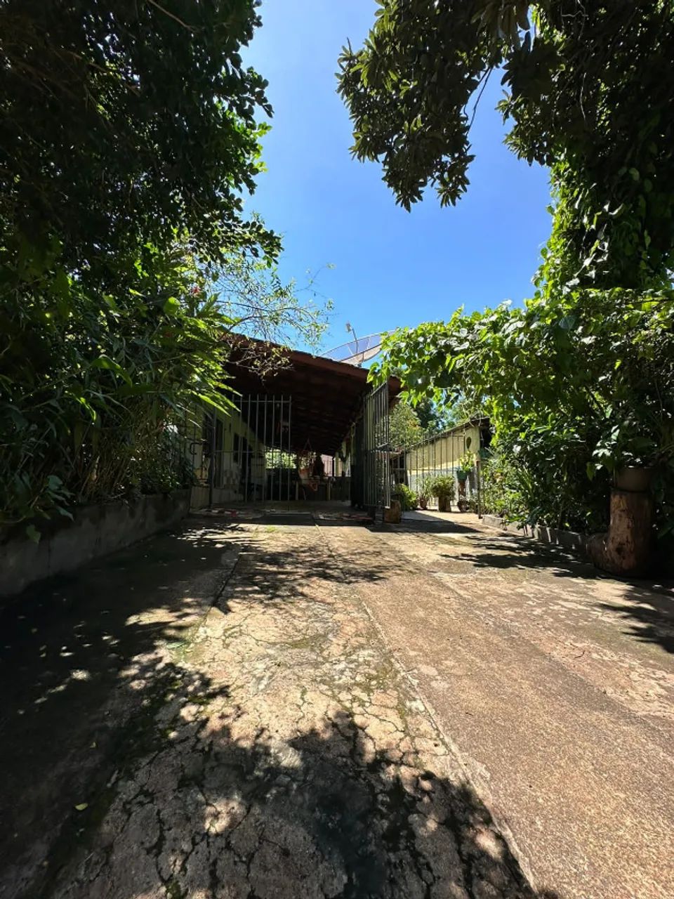 Chácara/Sítio, Rural, Setor Serrinha - 852m²  - faça sua proposta - Foto 5