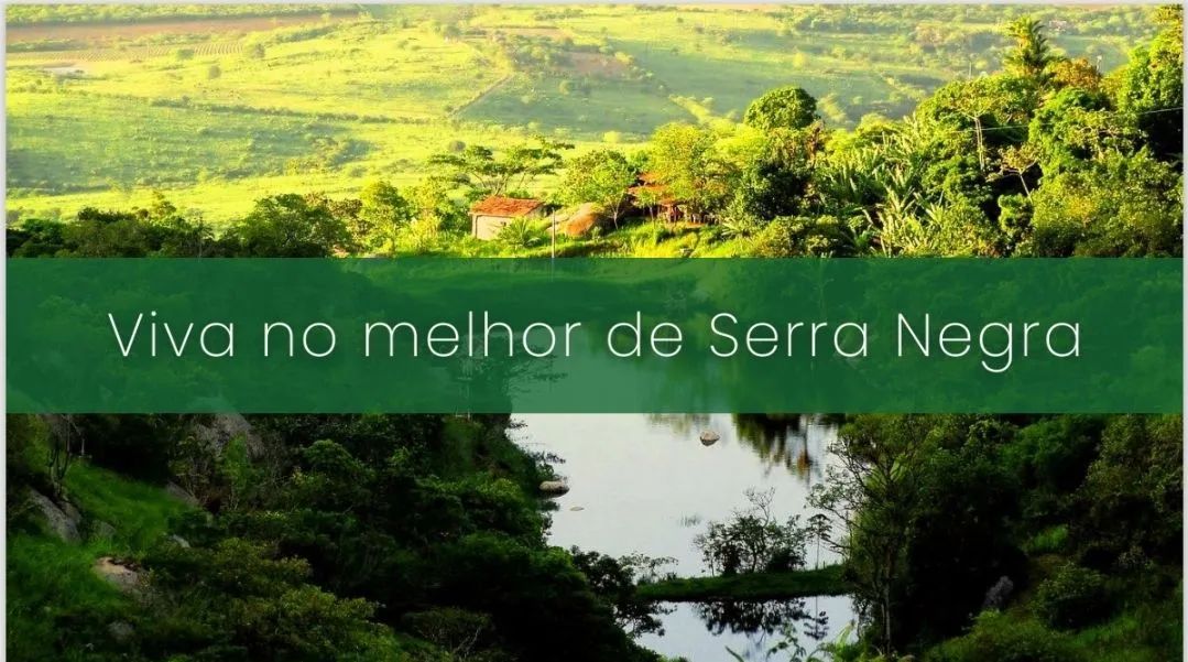 Foto - Bezerros - 