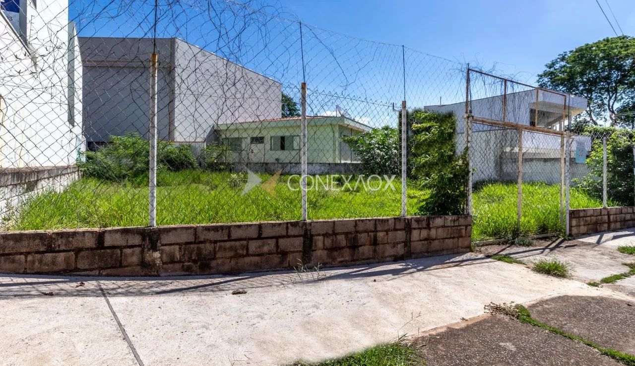 terreno - Jardim Paraíso - Campinas - Foto 2