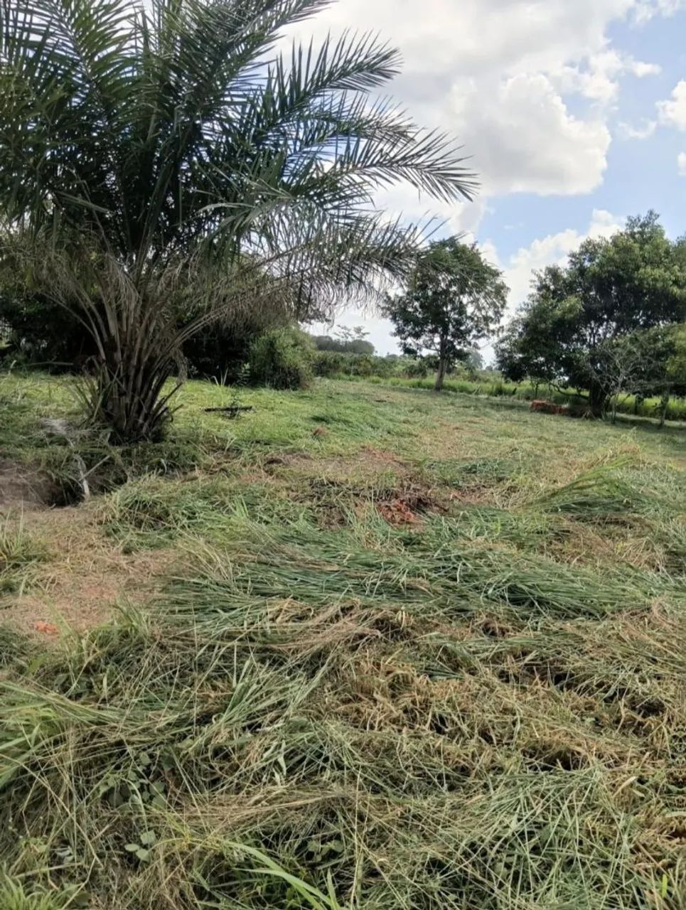 Terreno à venda - Foto 2