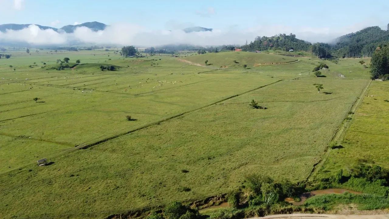 Área á venda -  Timbé - Tijucas - SC - Foto 2