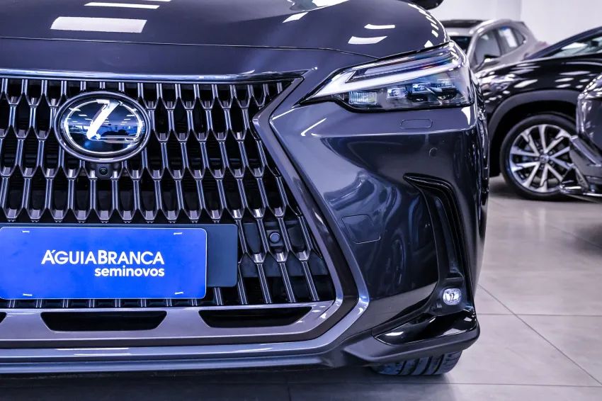 Lexus NX-350h Luxury 2.5 16V Aut. (hybrid), foto 4 de 19