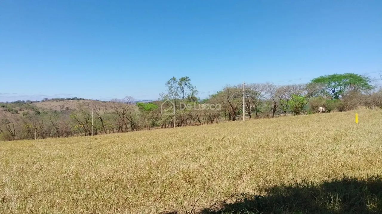 terreno - Carlos Gomes - Campinas - Foto 5